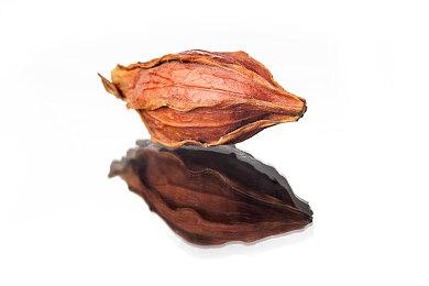 《上古卷轴4》大型Mod开发者谈官方重制版 这是双赢